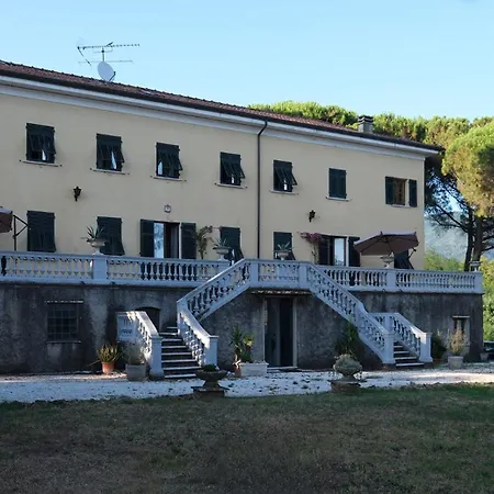 Pini Sarzana