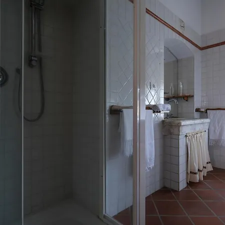 Pini Sarzana