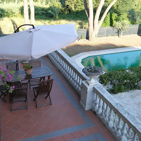 Pini * Sarzana